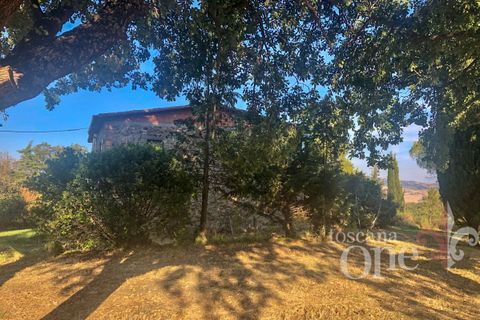 Villa a Lajatico, Pisa, Lajatico - € 429.000 | Ref: 17455-1 - foto 21