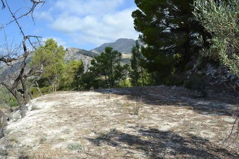 Terra a Beniarda, Alicante, Beniarda - € 24.000 | Ref: 6403 - foto 7