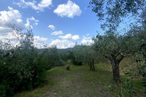 Villa i Cortona, Arezzo, Cortona - € 690.000 | Ref: v58142-x - foto 8