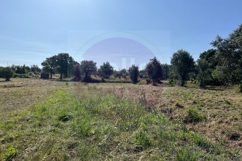 Helårsgrund i Tomar, Santarem, Tomar - € 60.000 | Ref: T 302 - foto 1