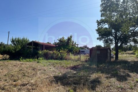 Helårsgrund i Tomar, Santarem, Tomar - € 60.000 | Ref: T 302 - foto 3