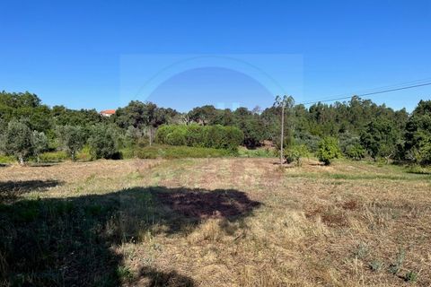 Helårsgrund i Tomar, Santarem, Tomar - € 60.000 | Ref: T 302 - foto 4