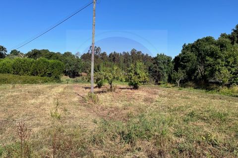 Helårsgrund i Tomar, Santarem, Tomar - € 60.000 | Ref: T 302 - foto 6