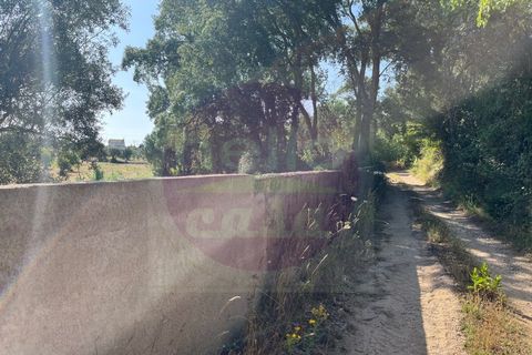 Helårsgrund i Tomar, Santarem, Tomar - € 60.000 | Ref: T 302 - foto 7