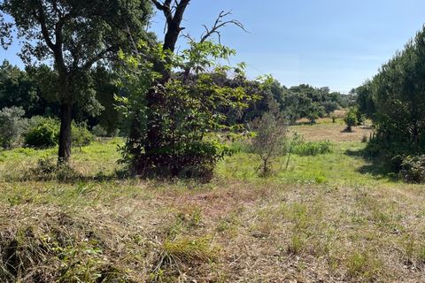 Helårsgrund i Tomar, Santarem, Tomar - € 60.000 | Ref: T 302 - foto 9