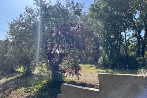 Helårsgrund i Tomar, Santarem, Tomar - € 60.000 | Ref: T 302 - foto 10
