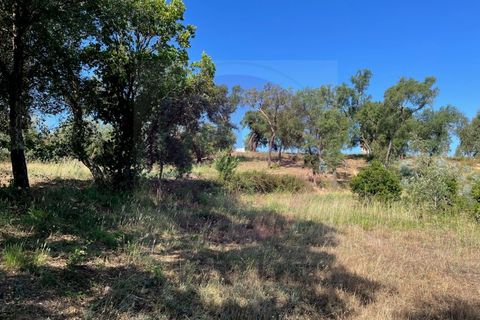 Helårsgrund i Tomar, Santarem, Tomar - € 60.000 | Ref: T 302 - foto 11