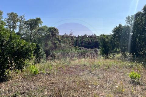 Helårsgrund i Tomar, Santarem, Tomar - € 60.000 | Ref: T 302 - foto 12