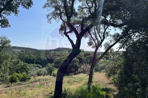 Helårsgrund i Tomar, Santarem, Tomar - € 60.000 | Ref: T 302 - foto 13