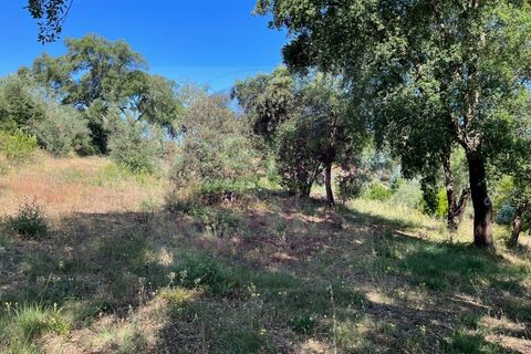 Helårsgrund i Tomar, Santarem, Tomar - € 60.000 | Ref: T 302 - foto 14