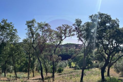 Helårsgrund i Tomar, Santarem, Tomar - € 60.000 | Ref: T 302 - foto 15