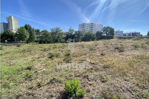 Helårsgrund i Santo Onofre e Serra do Bouro, Leiria, Santo Onofre e Serra do Bouro - € 430.000 | Ref: CAL-214711 - foto 2