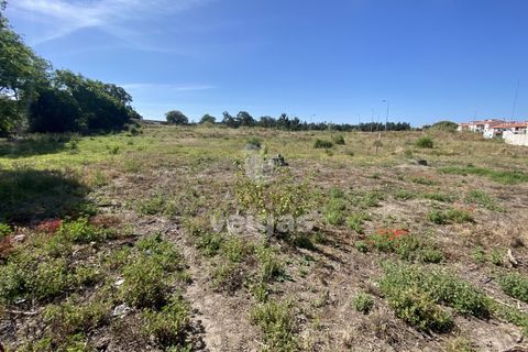 Helårsgrund i Santo Onofre e Serra do Bouro, Leiria, Santo Onofre e Serra do Bouro - € 430.000 | Ref: CAL-214711 - foto 3