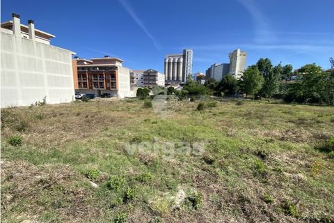 Helårsgrund i Santo Onofre e Serra do Bouro, Leiria, Santo Onofre e Serra do Bouro - € 430.000 | Ref: CAL-214711 - foto 5
