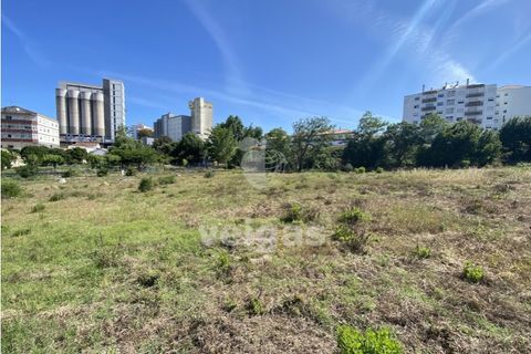 Helårsgrund i Santo Onofre e Serra do Bouro, Leiria, Santo Onofre e Serra do Bouro - € 430.000 | Ref: CAL-214711 - foto 6