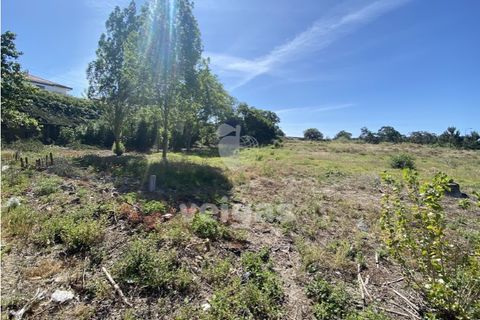 Helårsgrund i Santo Onofre e Serra do Bouro, Leiria, Santo Onofre e Serra do Bouro - € 430.000 | Ref: CAL-214711 - foto 8