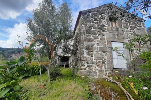 Farm i Ceivaes e Badim, Viana do Castelo, Ceivaes e Badim - € 85.000 | Ref: SAFTI:003669 - foto 2