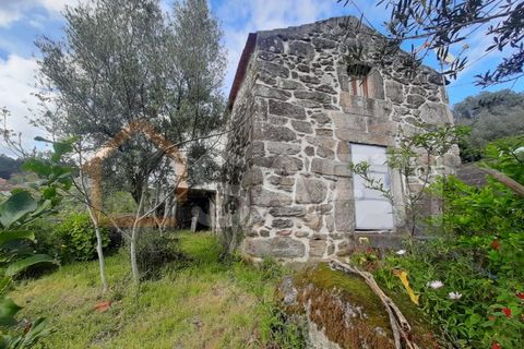 Farm i Ceivaes e Badim, Viana do Castelo, Ceivaes e Badim - € 85.000 | Ref: SAFTI:003669 - foto 9