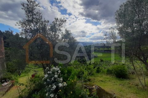 Farm i Ceivaes e Badim, Viana do Castelo, Ceivaes e Badim - € 85.000 | Ref: SAFTI:003669 - foto 10