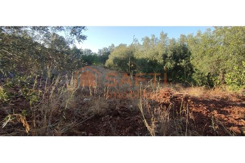Helårsgrund i Alte, Faro, Alte - € 125.000 | Ref: SAFTI:003689 - foto 5