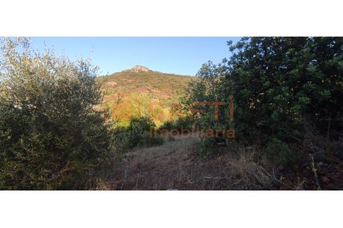 Helårsgrund i Alte, Faro, Alte - € 125.000 | Ref: SAFTI:003689 - foto 8