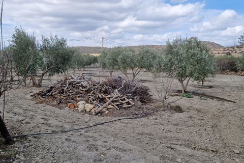 Landejendom i Tabernas, Almeria, Tabernas - € 275.000 | Ref: Tabernas1140 - foto 40