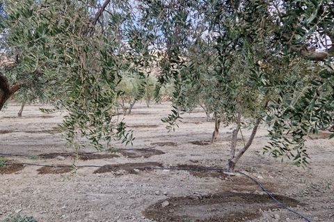 Landejendom i Tabernas, Almeria, Tabernas - € 275.000 | Ref: Tabernas1140 - foto 45