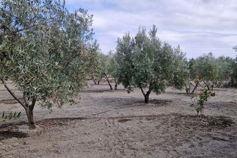 Landejendom i Tabernas, Almeria, Tabernas - € 275.000 | Ref: Tabernas1140 - foto 46