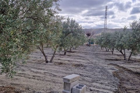 Landejendom i Tabernas, Almeria, Tabernas - € 275.000 | Ref: Tabernas1140 - foto 47
