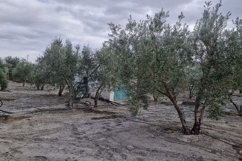 Landejendom i Tabernas, Almeria, Tabernas - € 275.000 | Ref: Tabernas1140 - foto 48