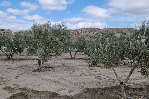 Landejendom i Tabernas, Almeria, Tabernas - € 275.000 | Ref: Tabernas1140 - foto 50