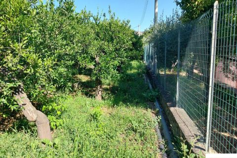 Helårsgrund i Palermo, Palermo, Palermo - € 90.000 | Ref: 118/23 - foto 2