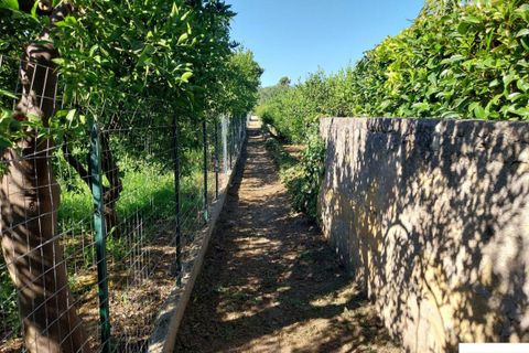 Helårsgrund i Palermo, Palermo, Palermo - € 90.000 | Ref: 118/23 - foto 4