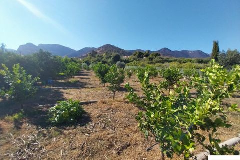 Helårsgrund i Palermo, Palermo, Palermo - € 90.000 | Ref: 118/23 - foto 6