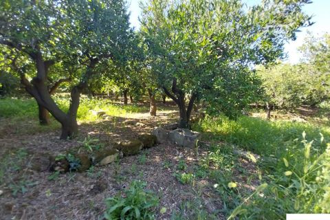 Helårsgrund i Palermo, Palermo, Palermo - € 90.000 | Ref: 118/23 - foto 7
