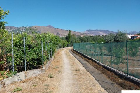 Helårsgrund i Palermo, Palermo, Palermo - € 90.000 | Ref: 118/23 - foto 8