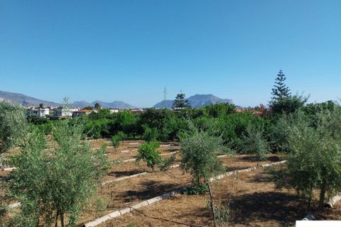 Helårsgrund i Palermo, Palermo, Palermo - € 90.000 | Ref: 118/23 - foto 9
