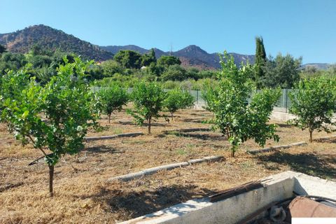 Helårsgrund i Palermo, Palermo, Palermo - € 90.000 | Ref: 118/23 - foto 11