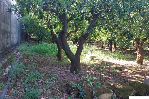 Helårsgrund i Palermo, Palermo, Palermo - € 90.000 | Ref: 118/23 - foto 12