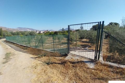 Helårsgrund i Palermo, Palermo, Palermo - € 90.000 | Ref: 118/23 - foto 14