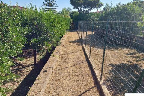 Helårsgrund i Palermo, Palermo, Palermo - € 90.000 | Ref: 118/23 - foto 16