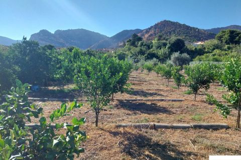Helårsgrund i Palermo, Palermo, Palermo - € 90.000 | Ref: 118/23 - foto 17