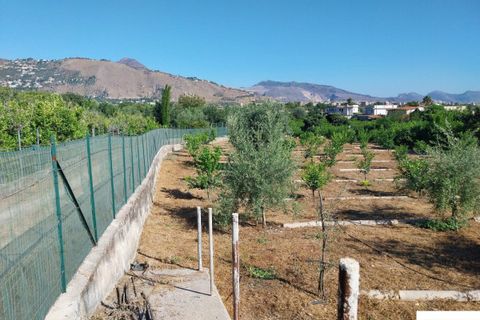 Helårsgrund i Palermo, Palermo, Palermo - € 90.000 | Ref: 118/23 - foto 19