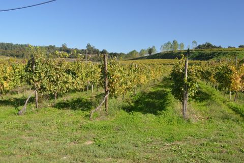 Farm i Amares, Braga, Amares - € 2.900.000 | Ref: 211635 - foto 24