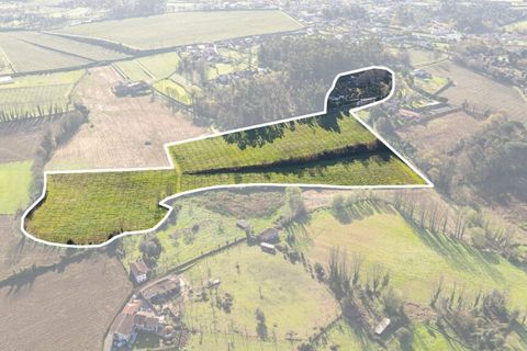 Farm i Amares, Braga, Amares - € 1.450.000 | Ref: 211634 - foto 39