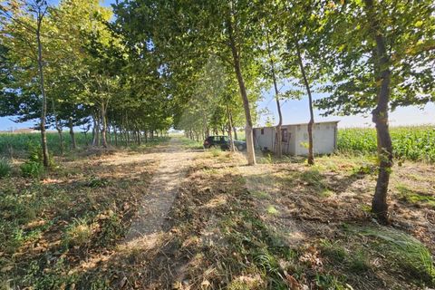 Helårsgrund i Ilhavo, Aveiro, Ilhavo - € 105.000 | Ref: 1011796/23 GL - foto 1