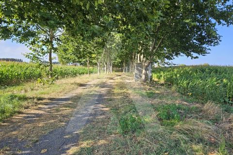 Helårsgrund i Ilhavo, Aveiro, Ilhavo - € 105.000 | Ref: 1011796/23 GL - foto 2