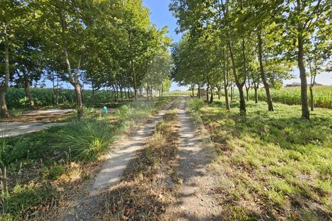 Helårsgrund i Ilhavo, Aveiro, Ilhavo - € 105.000 | Ref: 1011796/23 GL - foto 5