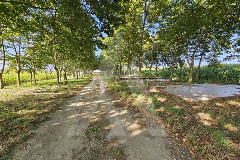 Helårsgrund i Ilhavo, Aveiro, Ilhavo - € 105.000 | Ref: 1011796/23 GL - foto 6