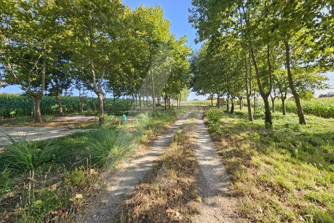 Helårsgrund i Ilhavo, Aveiro, Ilhavo - € 105.000 | Ref: 1011796/23 GL - foto 7